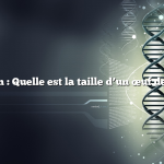 Question : Quelle est la taille d’un œuf de poule ?